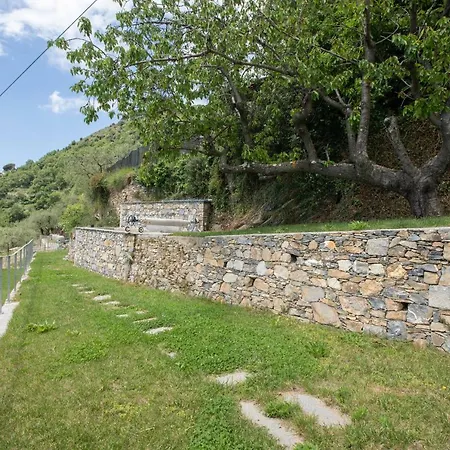 Cherry Garden * Alassio